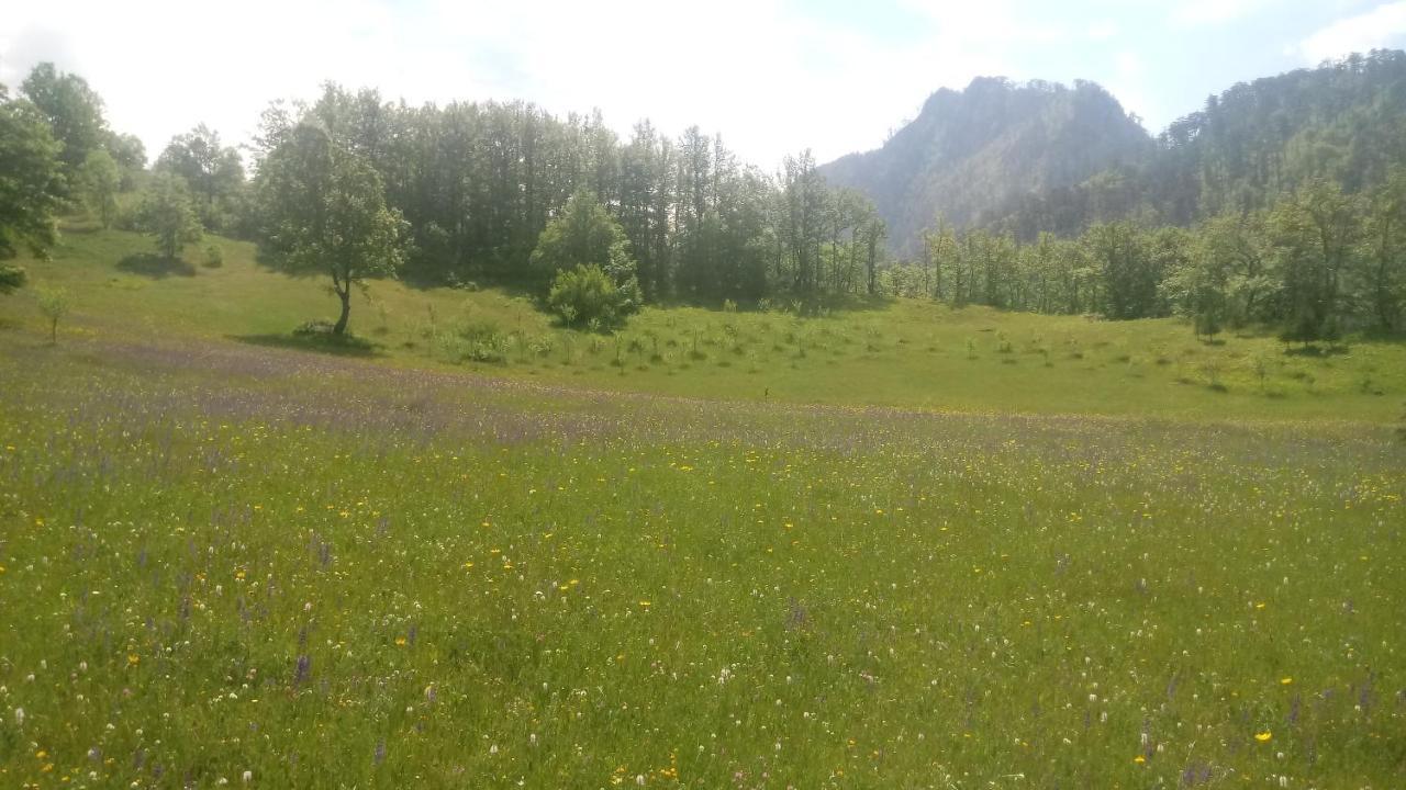 הוילה פלייבליה Kamp Rafting Kljajevica Luka מראה חיצוני תמונה